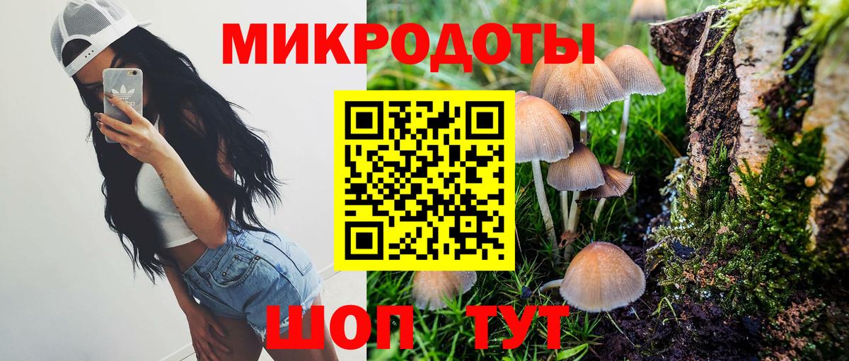 Псилоцибиновые грибы Psilocybe  Вход с VPN  Будённовск  где купить наркотик  Псилоцибиновые грибы MAGIC MUSHROOMS 